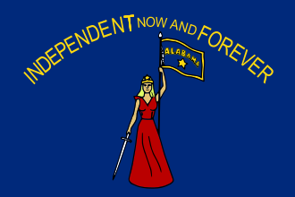 Secession Convention Flag