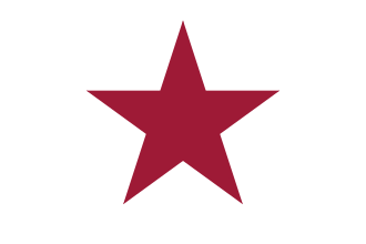 Lone Star Flag