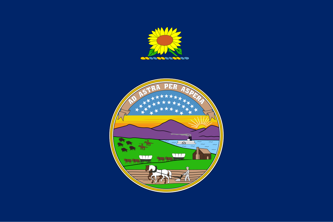 Original State Flag