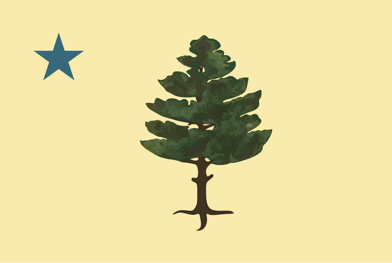 Pine Tree Flag