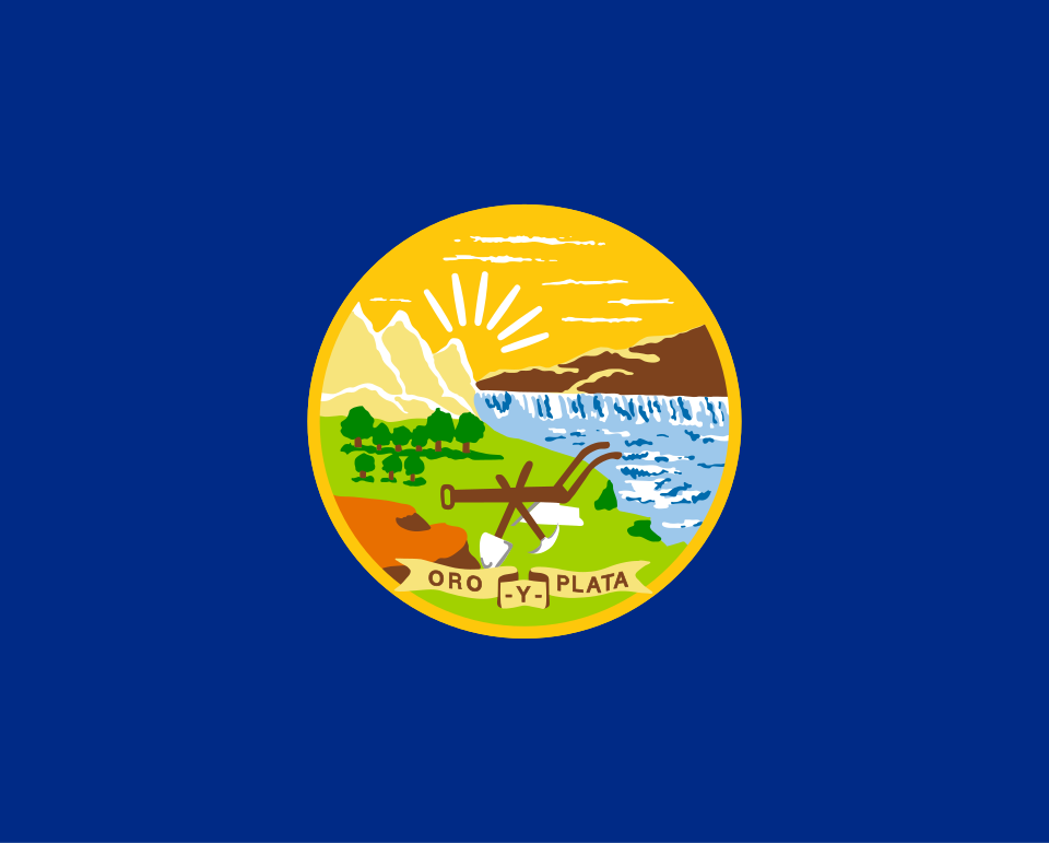 Original State Flag