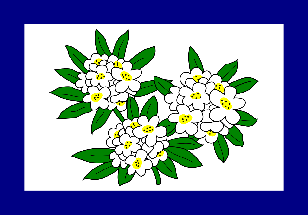 First Official Flag
