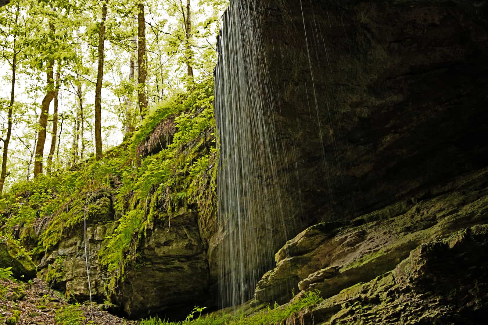 Mammoth Cave National Park