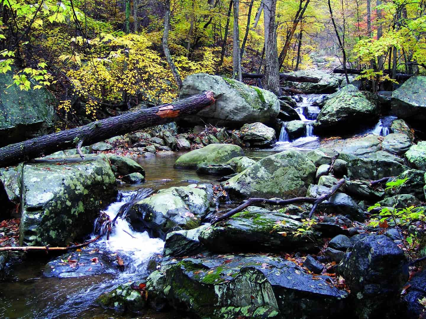 Shenandoah National Park